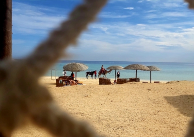 Beachcamp Ägypten Hotel Gorgonia Beach Resort